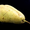 Sep 08 - Pear