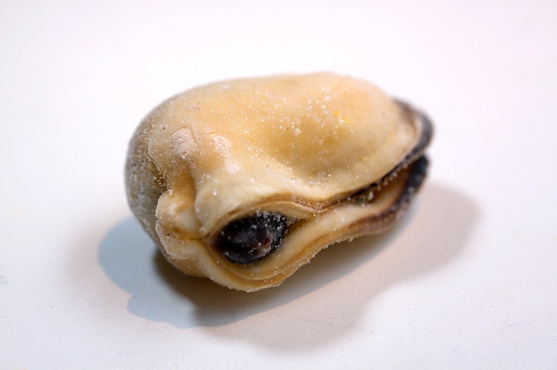 Dec 14 - Frozen mussel.jpg