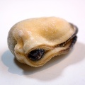 Dec 14 - Frozen mussel