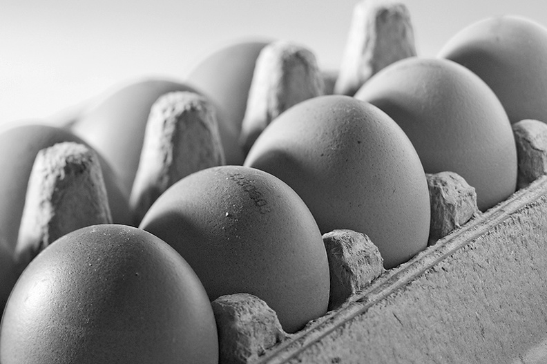 Feb 28 - Eggs.jpg
