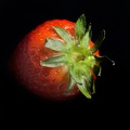 Apr 07 - Strawberry.jpg