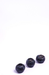 Apr 14- Blueberries