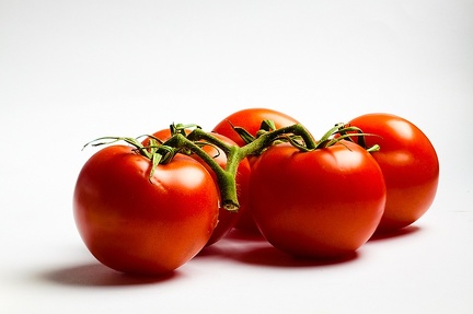 Oct 13 - Tomatoes