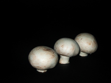 Nov 14 - 3 Mushrooms