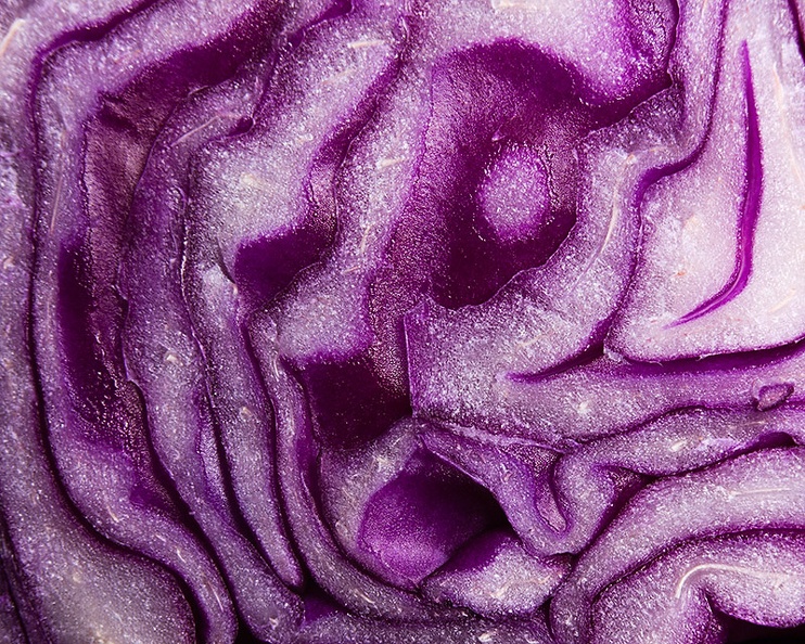 Jan 11 - Red cabbage.jpg
