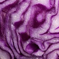 Jan 11 - Red cabbage