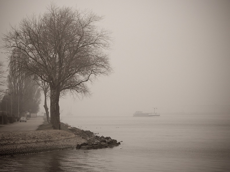 Mar 03 - Cold and foggy.jpg