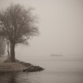 Mar 03 - Cold and foggy.jpg