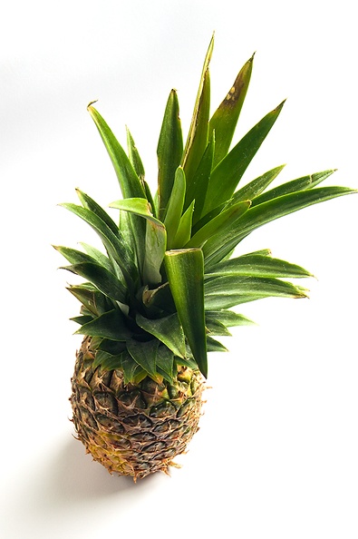 Mar 07 - Pineapple.jpg