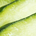 Jul 27 - Cucumber time