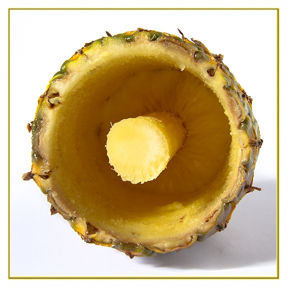 Aug 28 - Core of a pineapple