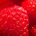 Jan 07 - Raspberry red