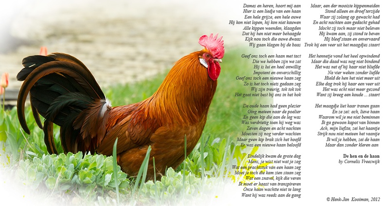 Apr 04 - Song of the rooster.jpg