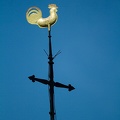 May 24 - Church cock