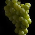 Jan 29 - Grapes
