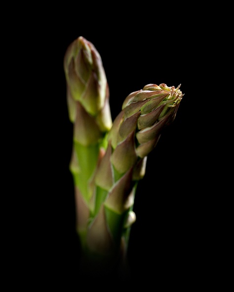 Feb 17 - Asparagus
