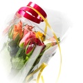 Mar 02 - Virtual flowers