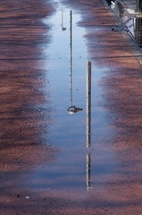 Apr 07 - Reflection on a bicycle path