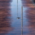 Apr 07 - Reflection on a bicycle path.jpg