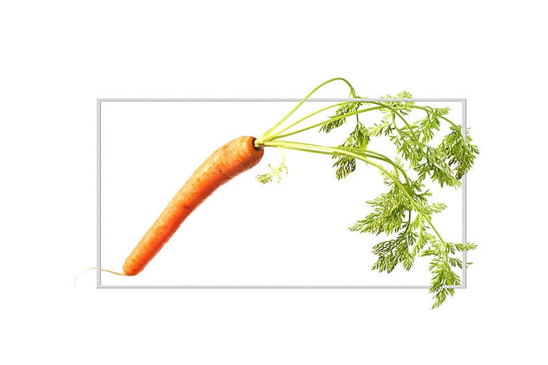 May 15 - The carrot.jpg