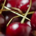 Jul 13 - Cherries