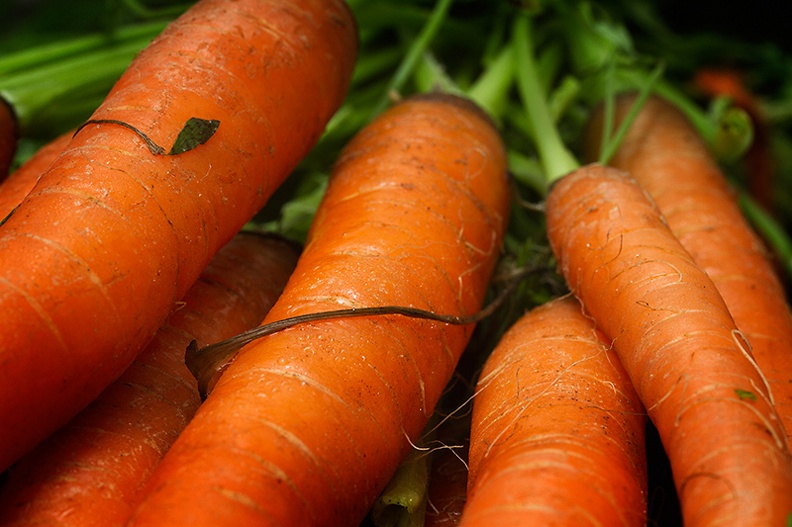 Aug 09 - Carrots