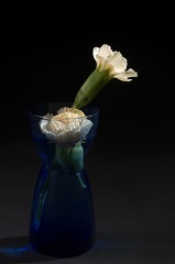 Oct 14 - Small vase