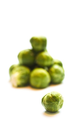 Oct 23 - Sprouts