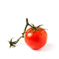 Jan 19 - Tomato.jpg