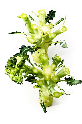 Apr 16 - Broccoli
