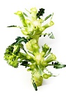 Apr 16 - Broccoli
