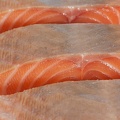 May 02 - Salmon
