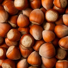 Sep 16 - Hazelnuts