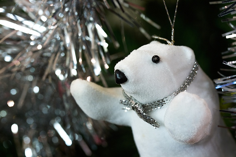Dec 27 - Polar bear