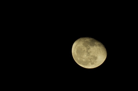 Jan 08 - The (not full) moon tonight