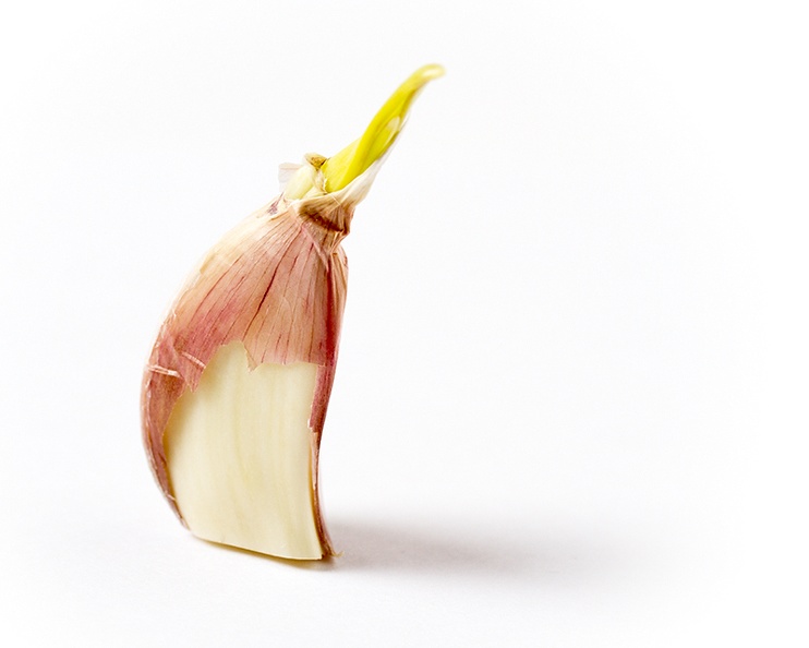 Mar 02 - Garlic.jpg