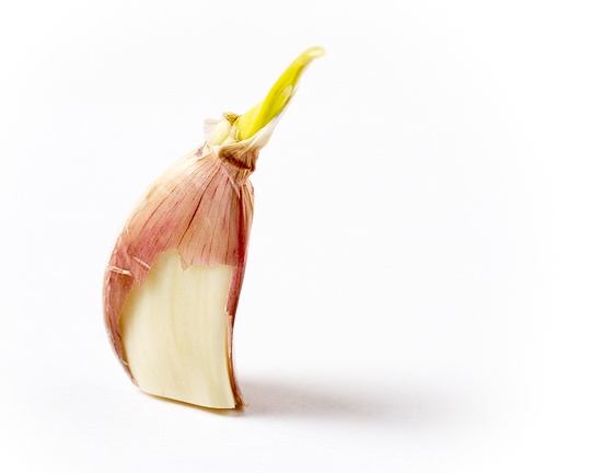 Mar 02 - Garlic