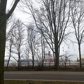 Mar 19 - Trees and tankers.jpg