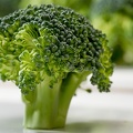 Mar 26 - Broccoli.jpg