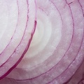 Jul 04 - Red onion.jpg