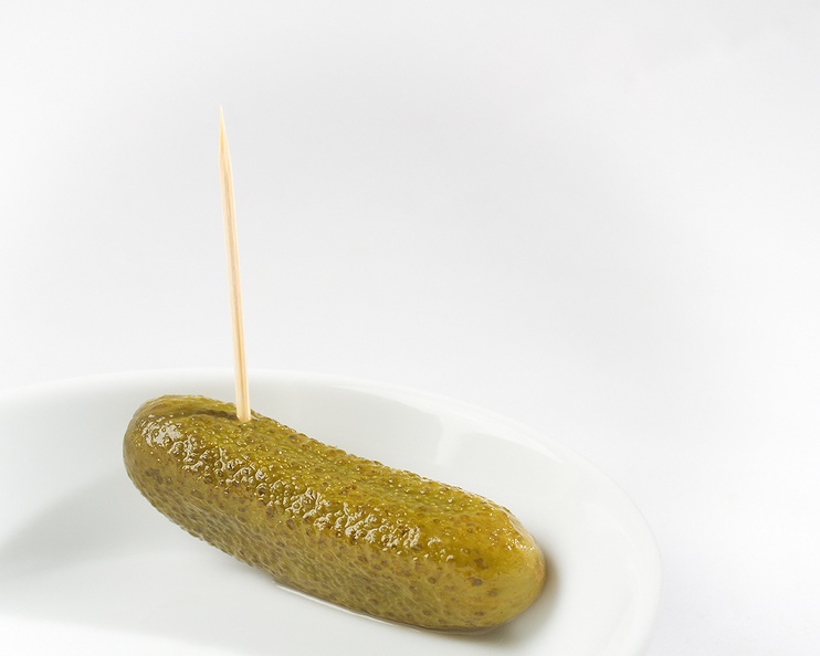 Nov 30 - Pickle.jpg