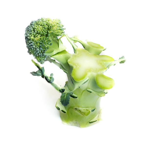 Jan 29 - Broccoli.jpg
