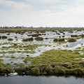 Mar 26 - Wetland.jpg