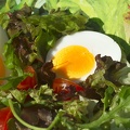 May 08 - Salad