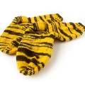Jun 06 - Tiger socks.jpg