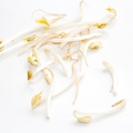 Jul 08 - Bean sprouts