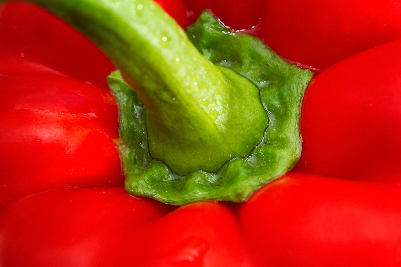 Jul 15 - Bell pepper