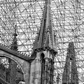 Sep 21 - Reims cathedral