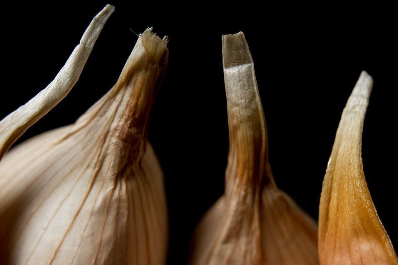 Nov 13 - Garlic