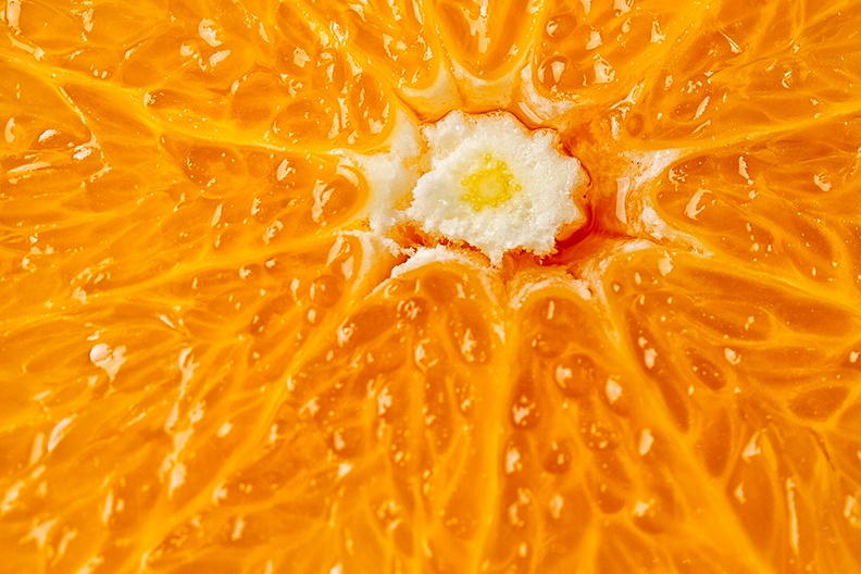 Jan 24 - Orange.jpg